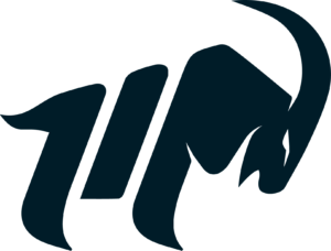 asset 11